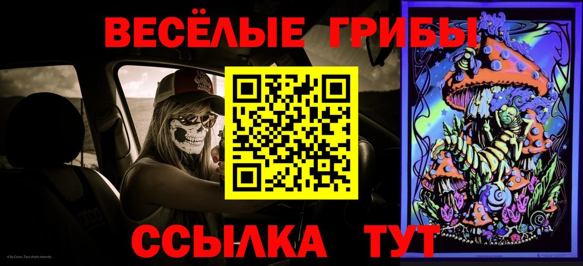 Ногинск  Псилоцибиновые грибы ЛСД  Вход с VPN 
