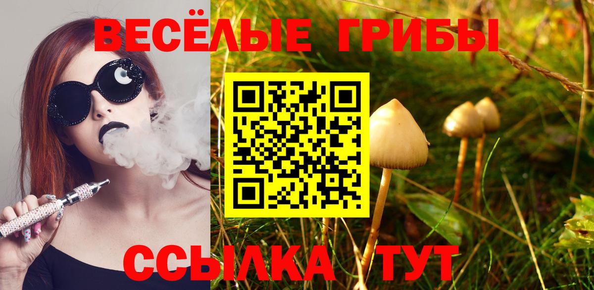 Галлюциногенные грибы мухоморы Ногинск