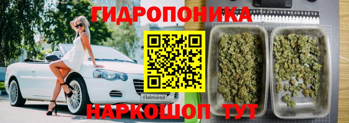 Бошки Шишки планчик Ногинск