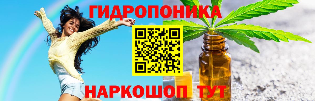 МЕФ Ногинск
